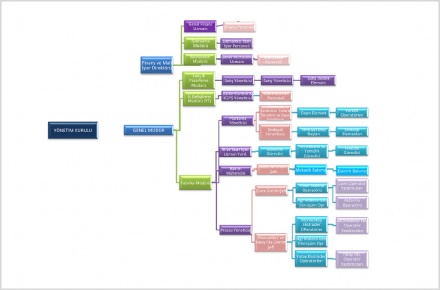 Organization Chart